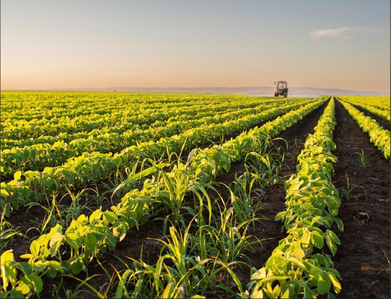 Agriculture Loan